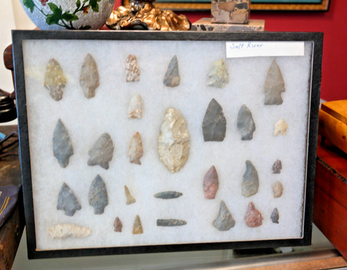 Fabulous mounted collection - fabulous, of